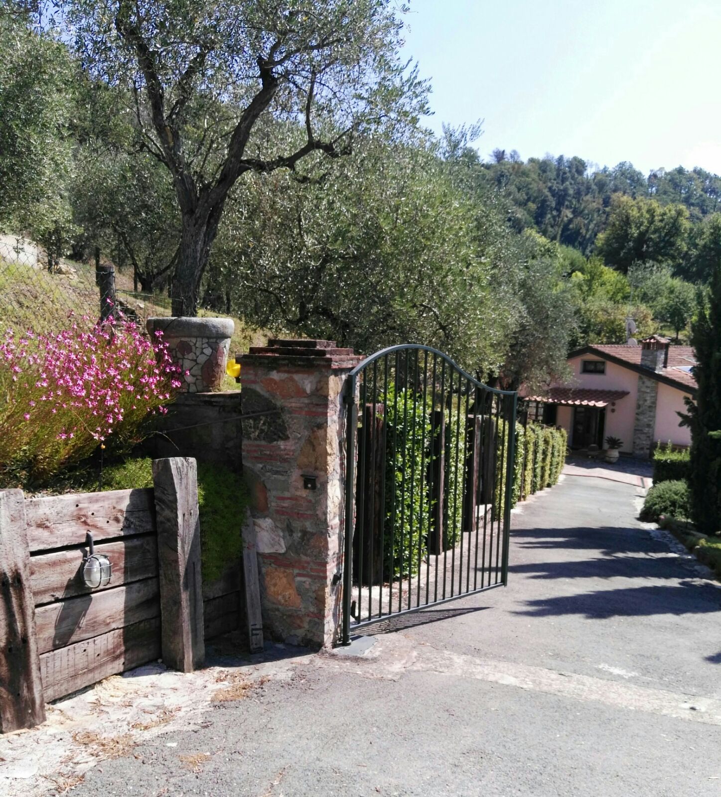 Modern villa_Lucca hills (20)