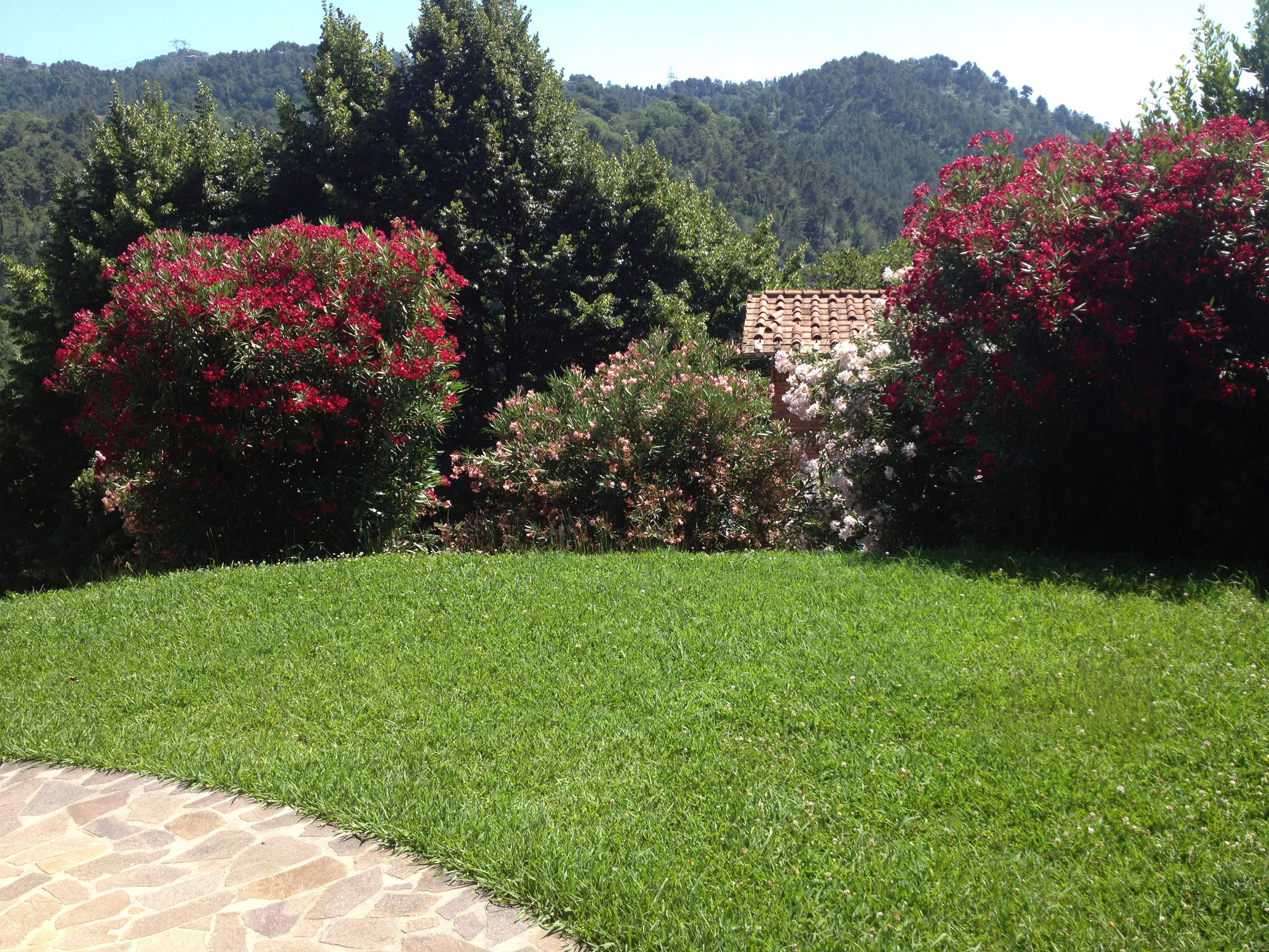 villa with views near Camaiore (4)