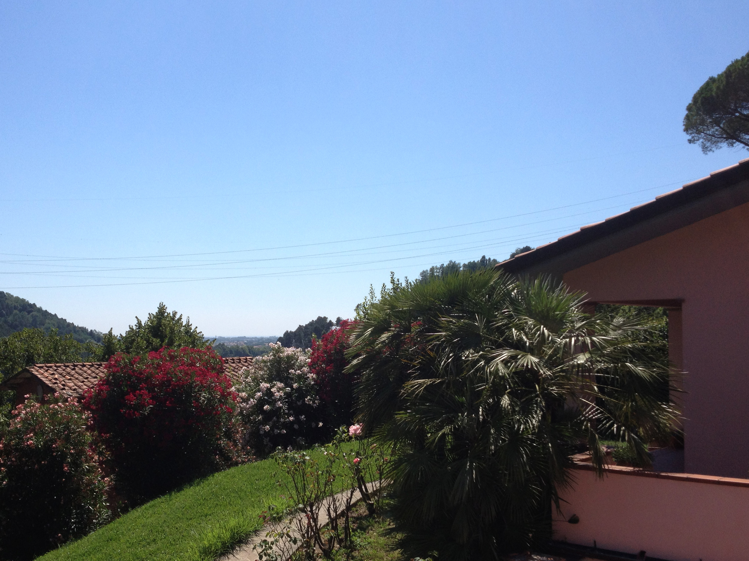 villa with views near Camaiore (5)